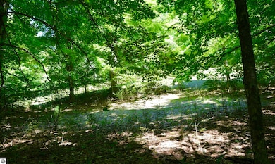 8080 S Sullivan Rd, Cedar, MI 49621 - photo 6