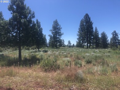 0 Mark Ct unit 31 22048662, Chiloquin, OR 97624 - photo 3