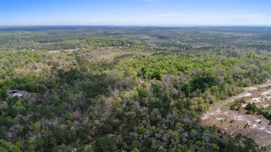 0 McMyers Ln, Crawfordville, FL 32327 - photo 6