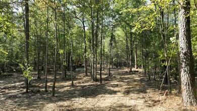 TBD, Tract 3 Polk Road 158, Mena, AR 71953 - photo 7