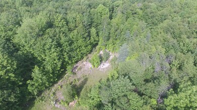 0 Red Brook Rd unit 4900167, Peacham, VT 05862 - photo 3