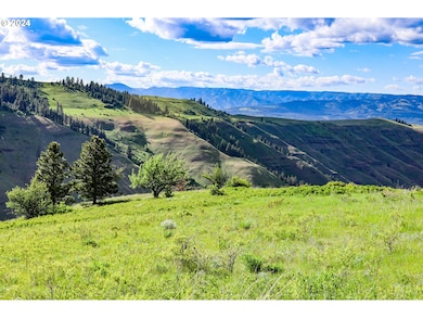 0 Highway 3 St unit 23058297, Enterprise, OR 97828 - photo 4