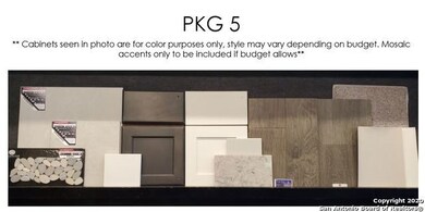 1344 Gruene Rd, New Braunfels, TX 78130 - photo 4