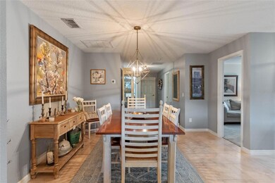 21714 Belgian Ct, Mount Dora, FL 32757 - photo 7