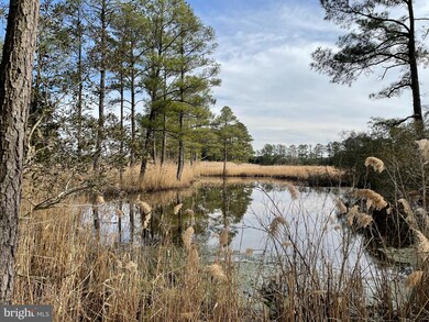 2434 Wesley Church Rd, Crapo, MD 21626 - photo 4