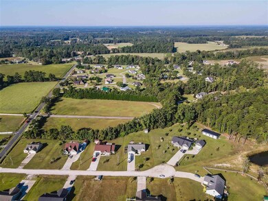 113 Brian Oaks Trail, Conway, SC 29527 - photo 7