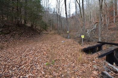 1067 Red Dog Rd, Grundy, VA 24614 - photo 6