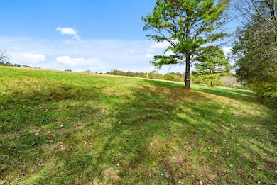 0 Buck Smith Rd unit RTC3046866, Palmyra, TN 37142 - photo 7