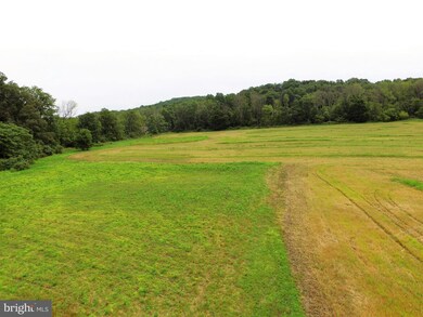 7433 Chestnut St, Zionsville, PA 18092 - photo 3