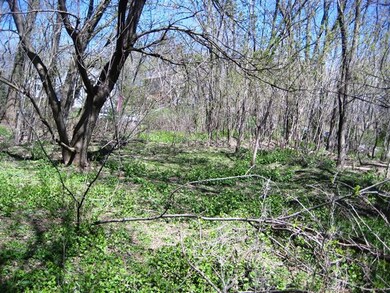 Lot 4 Gold Dr, Fitchburg, WI 53711 - photo 7