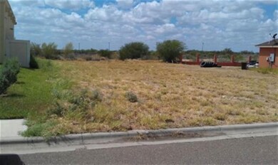 603 Cowbird Cove Ct, Laredo, TX 78045 - photo 3