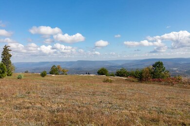 0 Hovering Hawk Dr unit RTC2722598, Jasper, TN 37347 - photo 6