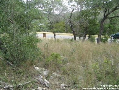 19707 Terra Mont, San Antonio, TX 78255 - photo 4