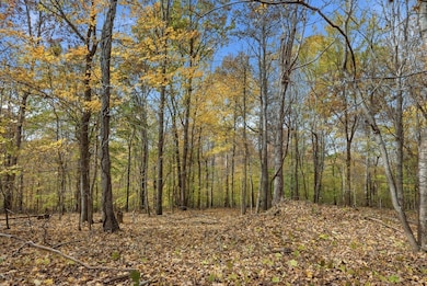 0 Vaughn Rd, Indian Mound, TN 37079 - photo 3