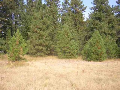 0 W Akers Ln, Colbert, WA 99005 - photo 6