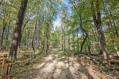 1570 Lone Tree Rd, Milford, MI 48380 - photo 5