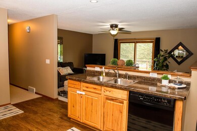 9866 State Highway 114 SW, Alexandria, MN 56308 - photo 3