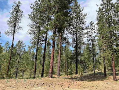 xxx Junco Way, Kettle Falls, WA 99141 - photo 4