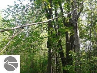 N/A Tonkey Rd, Turner, MI 48765 - photo 5