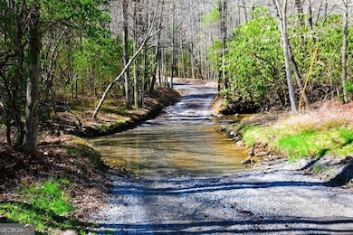 360 Johnson Cove Rd, Copperhill, TN 37317 - photo 3