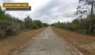 0 Coronado Dr unit 25703078, Chipley, FL 32428 - photo 4