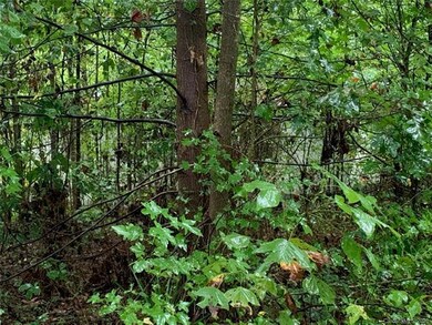 6600 Denver Heights Cir, Denver, NC 28037 - photo 5