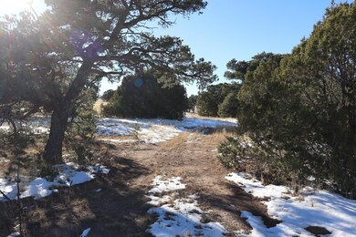 0 Shawnee Cir unit Lot 89, Walsenburg, CO 81089 - photo 6