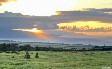Sunset view