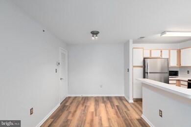 4406 Silverbrook Ln unit J302, Owings Mills, MD 21117 - photo 7