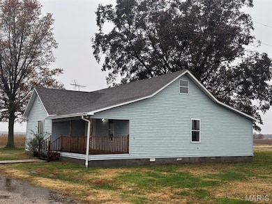 14007 State Highway Ww, Dudley, MO 63936 - photo 2