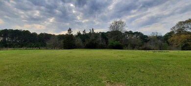 View of nature