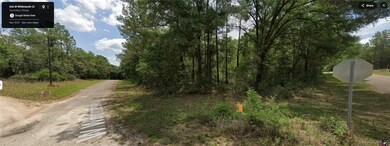 346 W Whitmarsh Ct, Dunnellon, FL 34434 - photo 4