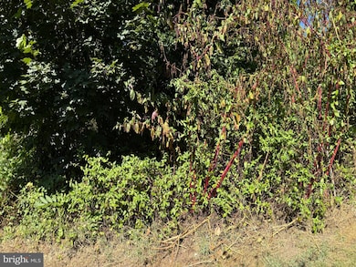 214 2nd Ave, Quantico, VA 22134 - photo 3