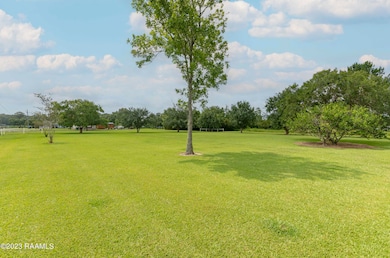 Side Yard 1