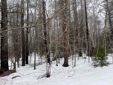 Wooded Lot