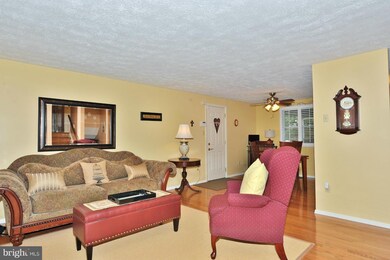 7017 Bedrock Rd, Alexandria, VA 22306 - photo 2