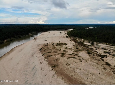 0 Perrytown Rd unit 4132583, Rosetta, MS 39633 - photo 5