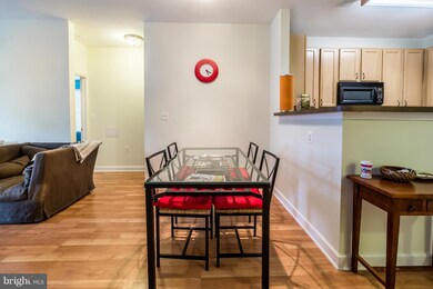 42420 Hollyhock Terrace unit 102, Ashburn, VA 20148 - photo 5