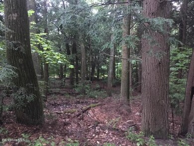 IMG_2560