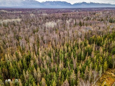 3025 E Paradise Ln, Wasilla, AK 99654 - photo 2