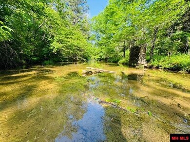 001-01112-000 Cr 127, Calico Rock, AR 72519 - photo 5