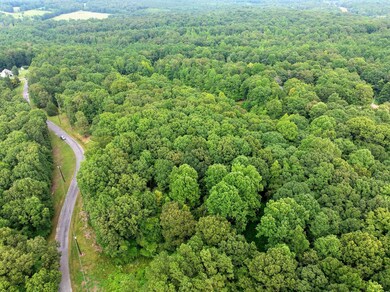 Lot 30 Stan Ln, Cedar Grove, TN 38321 - photo 4