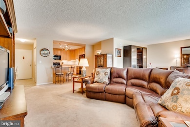 The Ridgely Condominiums, Towson, MD 21286 - photo 7