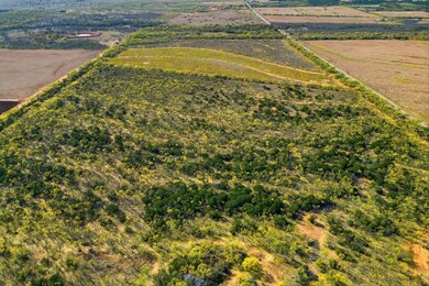 TBD 80 Acres Cr 150, Tuscola, TX 79562 - photo 5