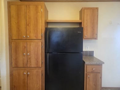 1147 Candida Rd unit 527, Elgin, IL 60123 - photo 4