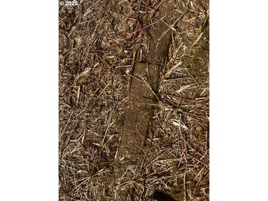 92036 Marcola Rd, Springfield, OR 97478 - photo 7