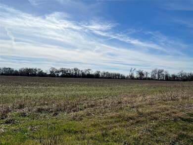 10207 W Ennis Ave, Ennis, TX 75119 - photo 3