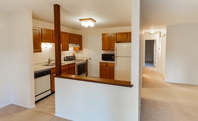 2610 Northampton Dr unit B1, Rolling Meadows, IL 60008 - photo 5