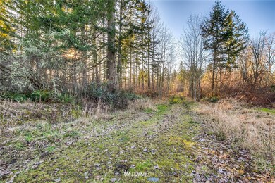 unlisted-address, Roy, WA 98580 - photo 3