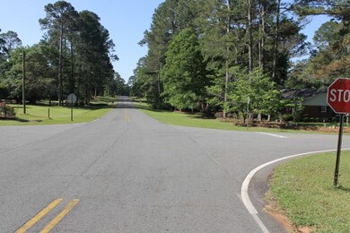 0 Timberlane Dr, Americus, GA 31709 - photo 6